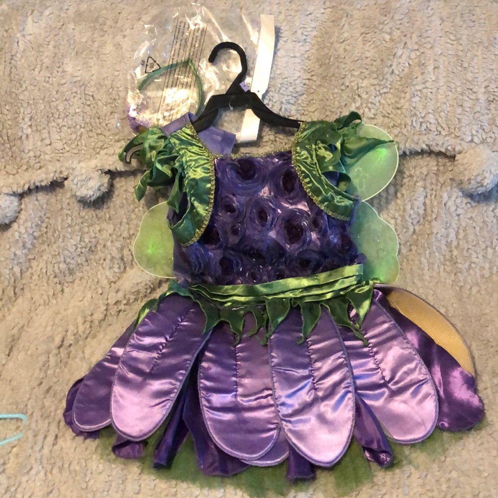 Fairy Costume with Head Band and Wings